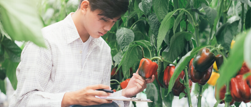 Successful Farming in 2023.