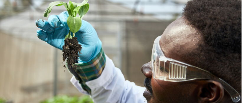 Extended Reality (XR) in Agriculture.