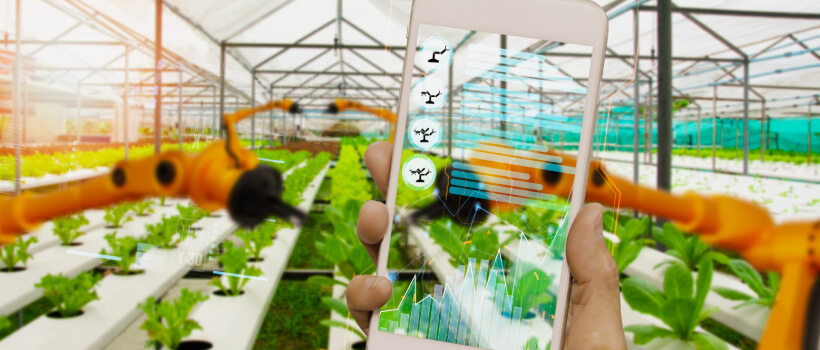 Sustainable Farming-A Deep Dive into Agriculture Sustainability.